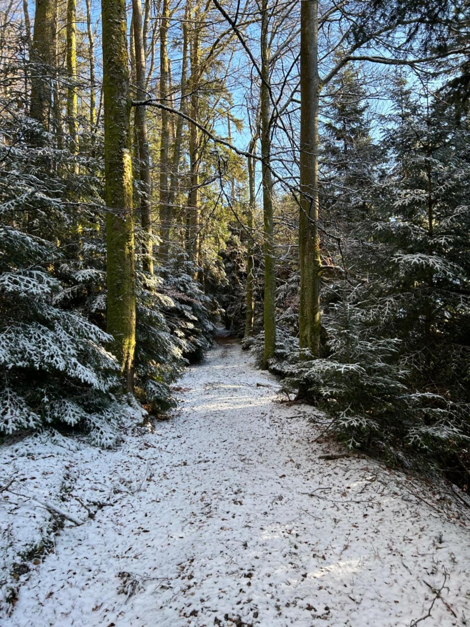 Camping du Château Granges-sur-Vologne Extérieur photo